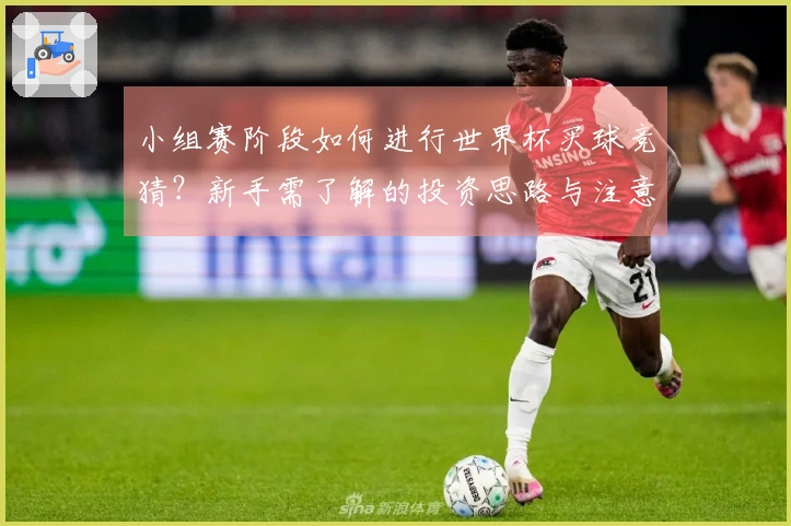 小组赛阶段如何进行世界杯买球竞猜？新手需了解的投资思路与注意事项