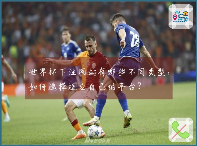 世界杯下注网站有哪些不同类型，如何选择适合自己的平台？